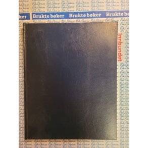 Gunnar Nerheim - Gassflamme og lysbue