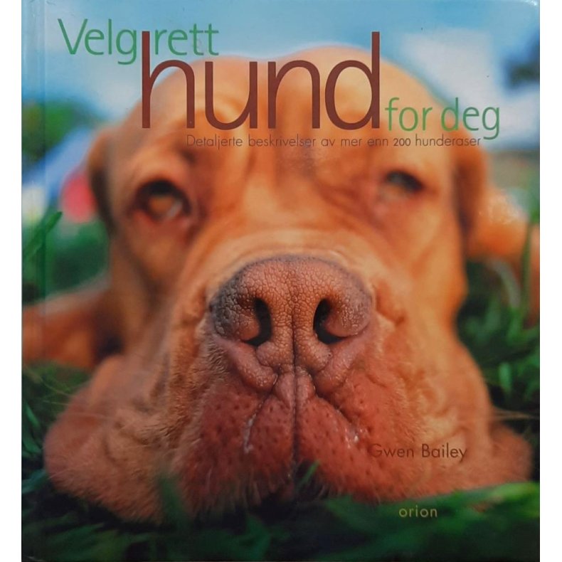 Gwen Bailey - Velg rett hund for deg