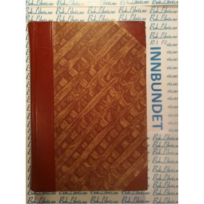 Hadeland bygdebok Bind IV