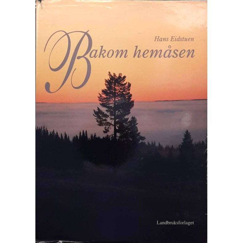 Hans Eidstuen - Bakom hem�sen