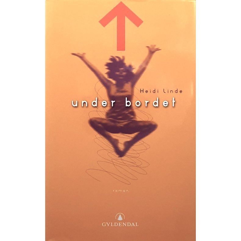 Heidi Linde - Under bordet (Innbundet)