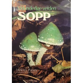Helen L. Pursey - Vidunderlige verden sopp (Innbundet)