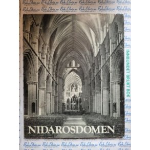 Helge Thiis - Nidarosdomen