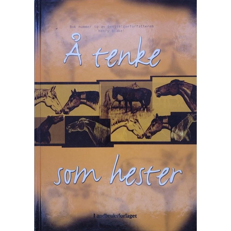 Henry Blake -  tenke som hester