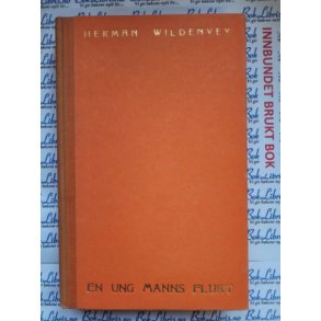 Herman Wildenvey - En ung manns flukt