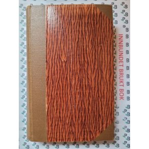 Holger Drachmann - Med den brede pensel (1887)