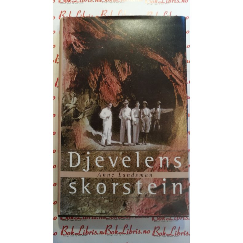 Anne Landsman - Djevelens skorstein