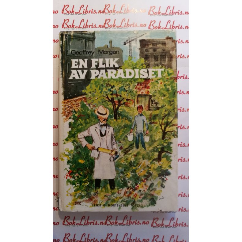 Geoffrey Morgan - En flik av paradiset