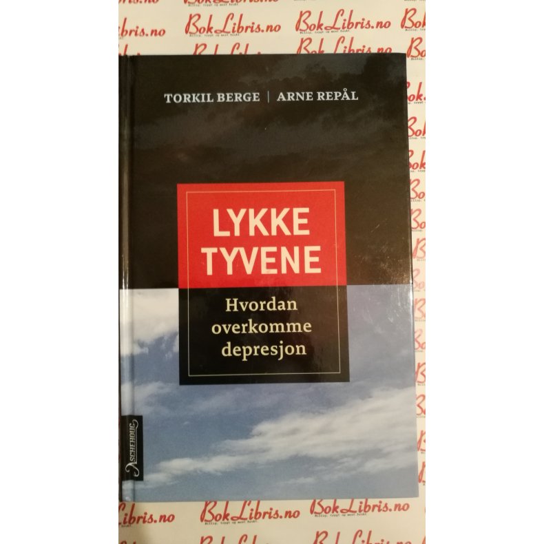 Torkil Berge og Arne Repl - Lykketyvene