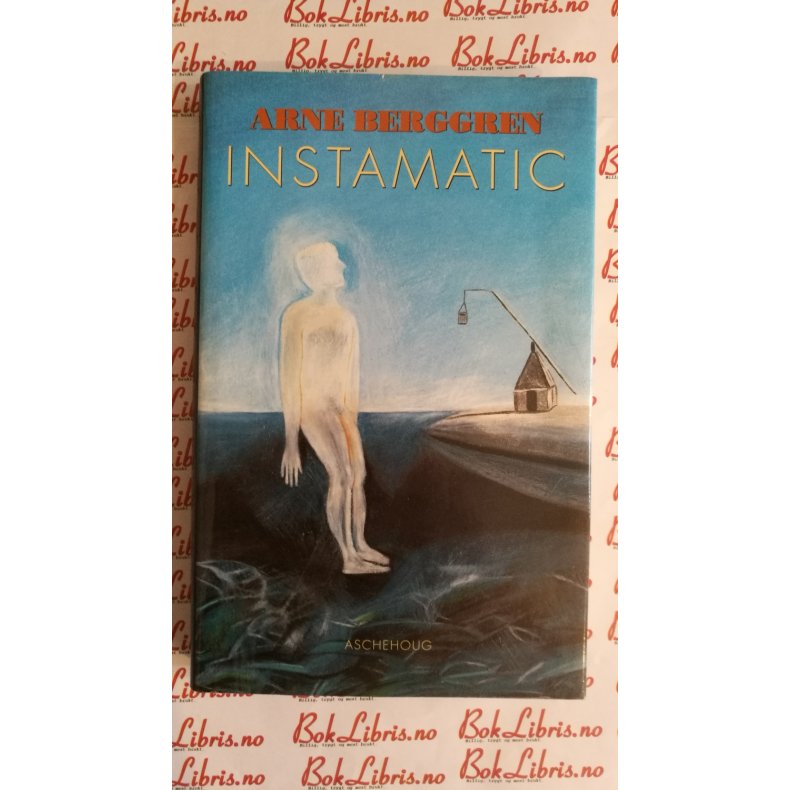 Arne Berggren - Instamatic