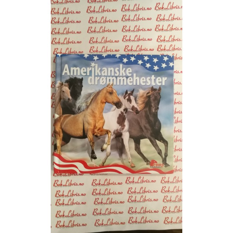 Amerikanske drmmehester