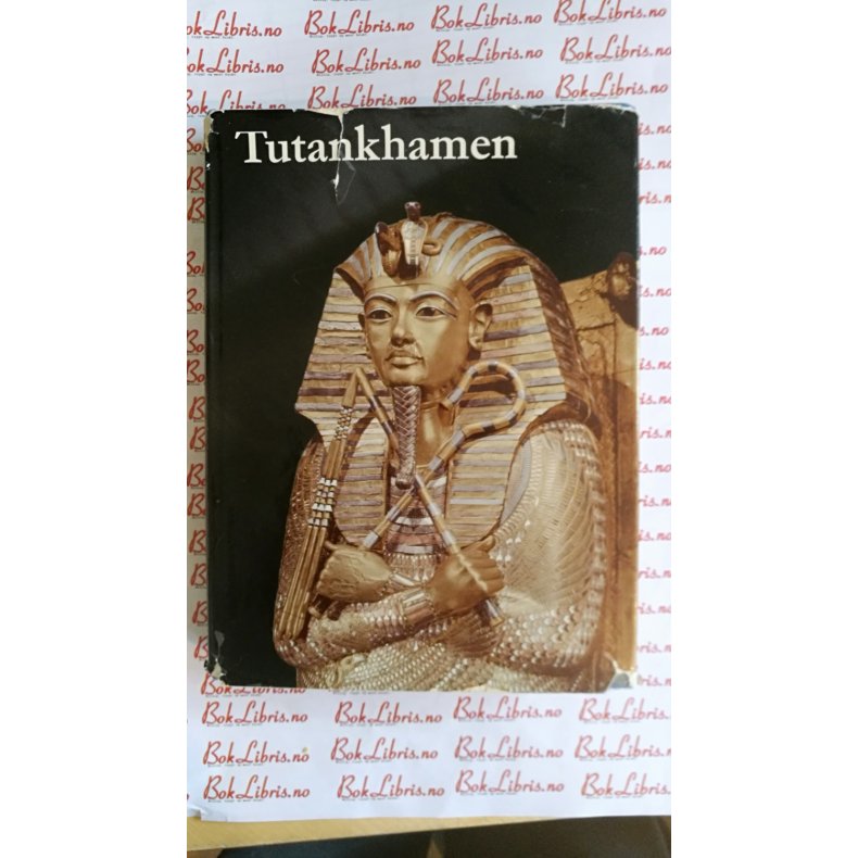 Tutankhamen bok