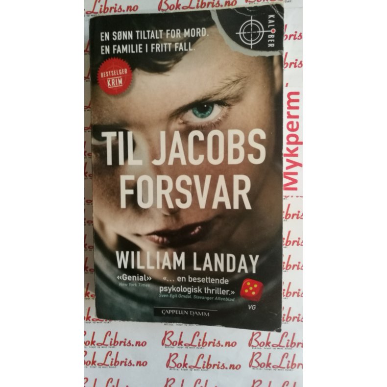 William Landay - Til Jacobs forsvar