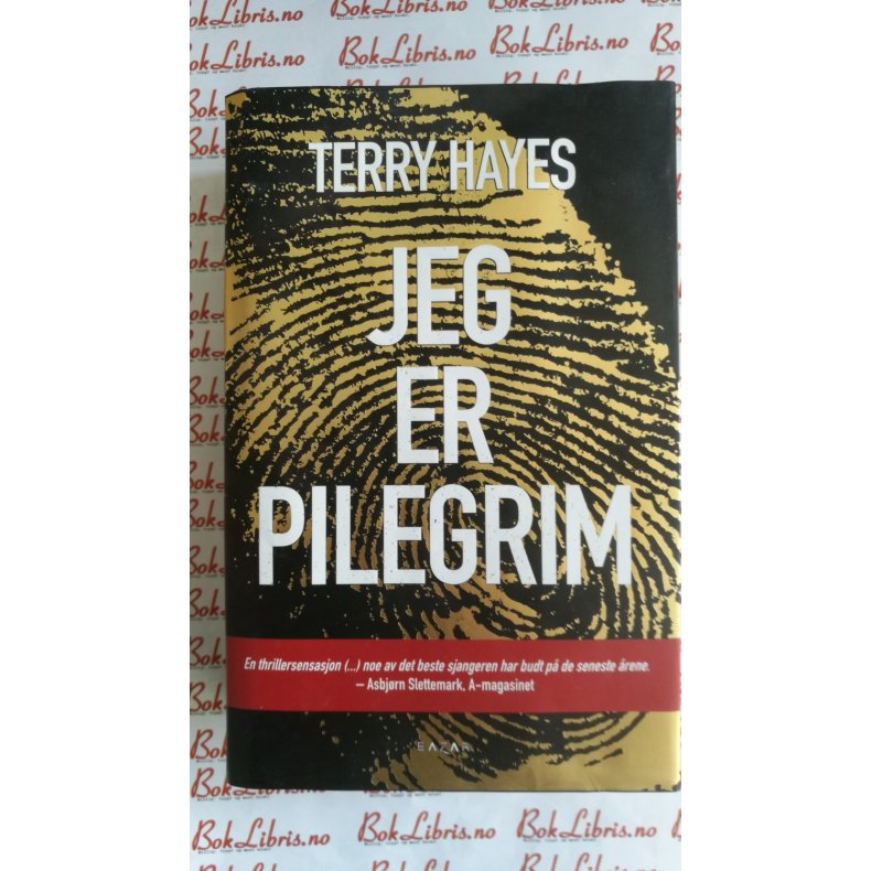 Terry Hayes - Jeg er pilegrim