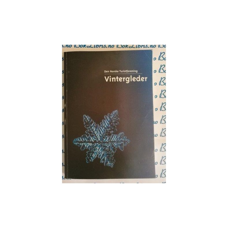 DNT Vintergleder 1999