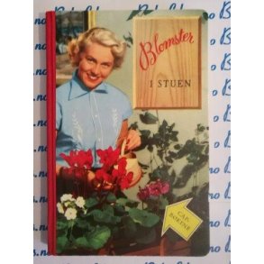 Einar Sjöbeck - Blomster i stuen