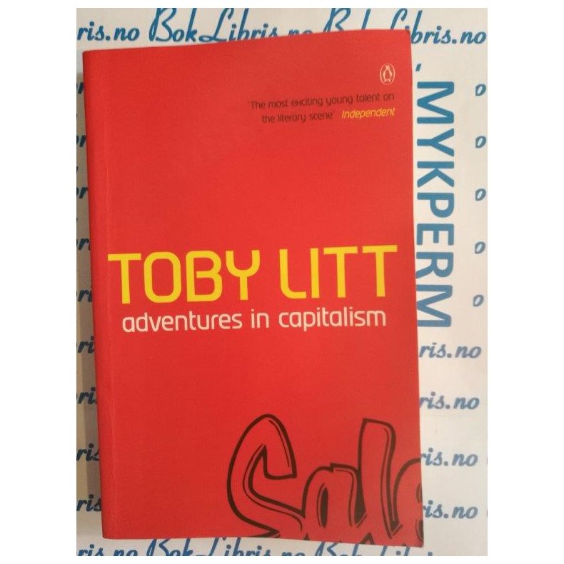 Toby Litt - Adventures in capitalism