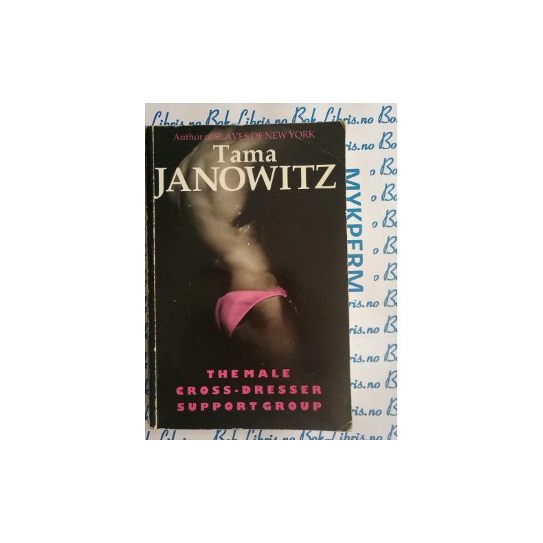 Tama Janowitz - The male cross-dresser support group