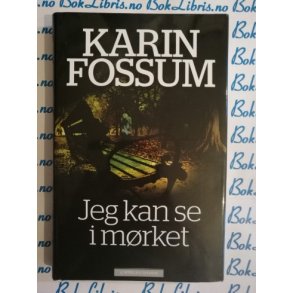 Karin Fossum - Jeg kan se i mrket