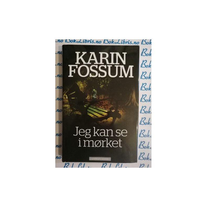 Karin Fossum - Jeg kan se i mrket