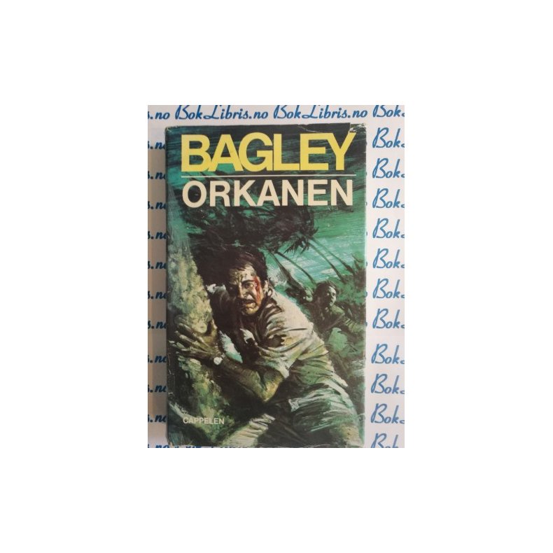 Desmond Bagley - Orkanen