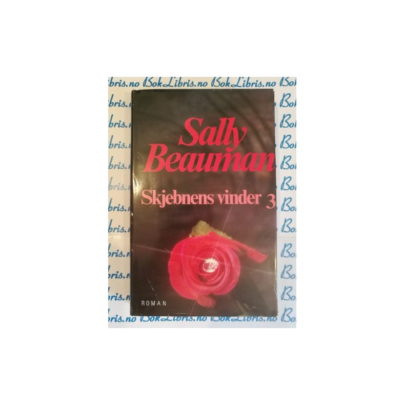 Sally Beauman - Skjebnens vinder 3