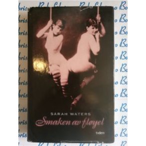 Sarah Waters - Smaken av flyel