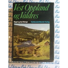 Jens M. Alm - Vest-Oppland og Valdres - Bygd og by i Norge
