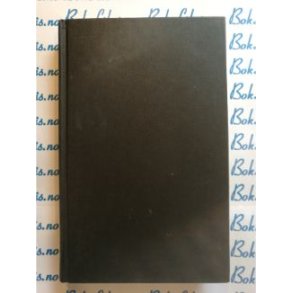 Anne Holt - Blind gudinne