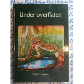 Torleif Lundqvist - Under overflaten (Innbundet)