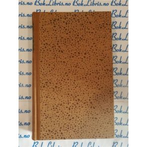 Bernard Malamud - Mannen fra Kiev