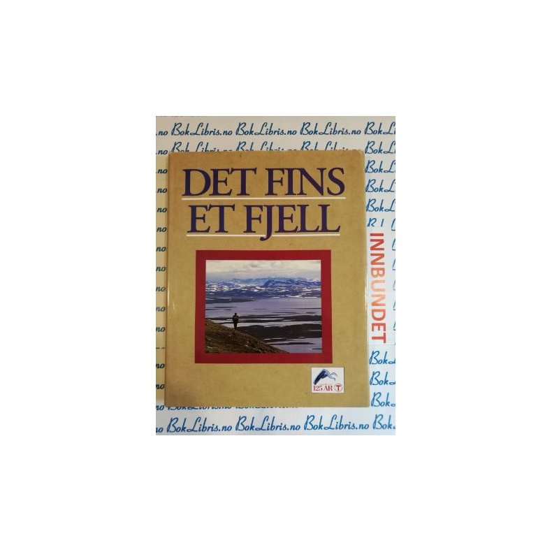 DNT - Det fins et fjell