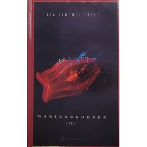 Ida Ldemel Tvedt - Marianegropen