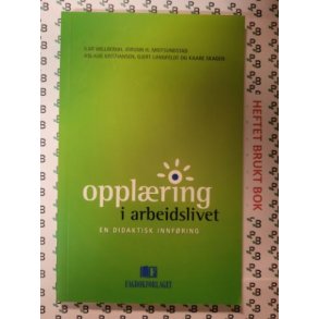 Ilmi Willbergh m.fl. - Opplring i arbeidslivet