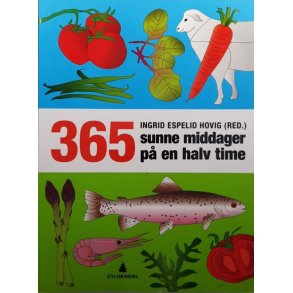 Ingrid Espelid Hovig (red.) - 365 sunne middager p� en halv time - Heftet