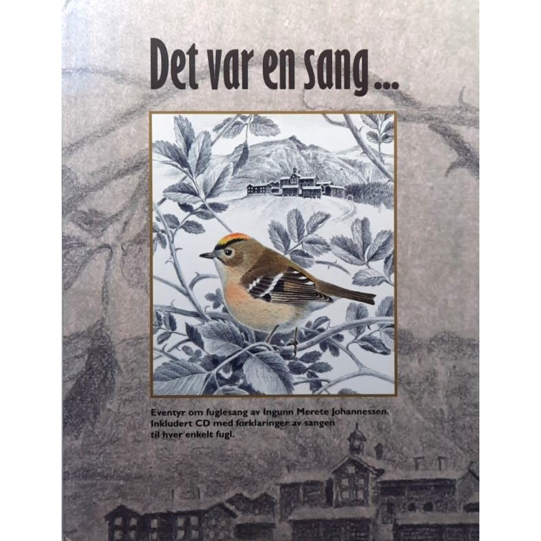 Ingunn Merete Johannessen - Det var en sang (Innbundet)