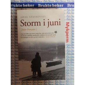 Irne Nmirovsky - Storm i juni
