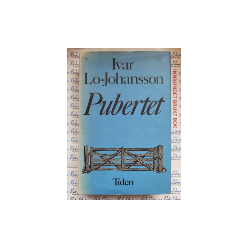 Ivar Lo-Johansson - Pubertet