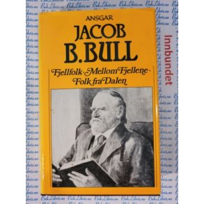 Jacob B. Bull - Fjellfolk, Mellom fjellene, Folk fra Dalen