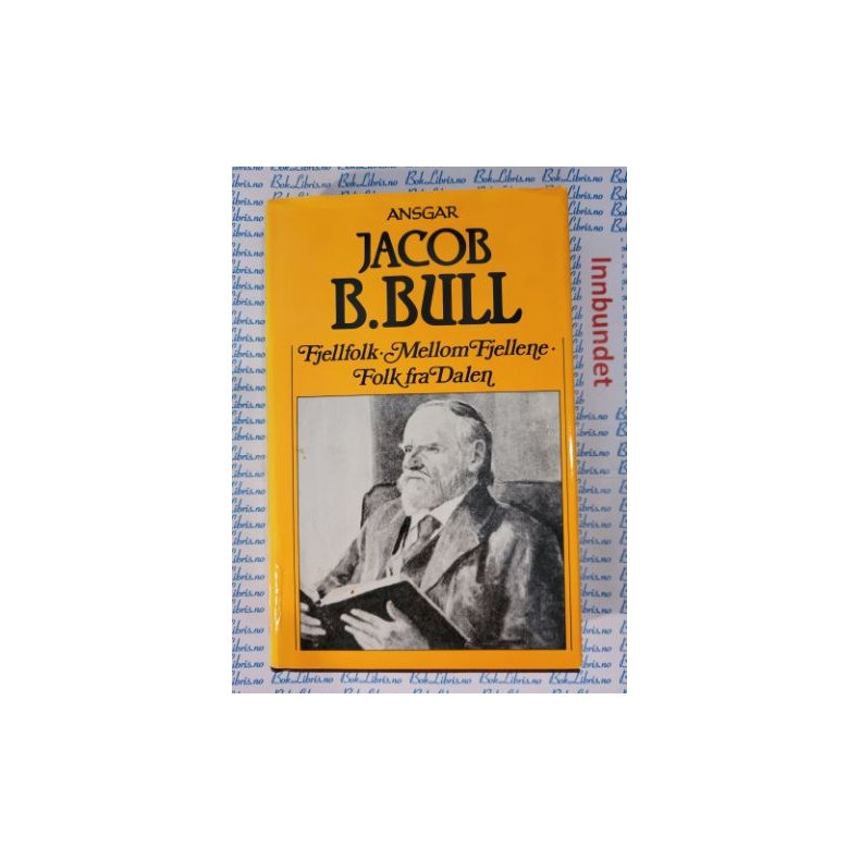 Jacob B. Bull - Fjellfolk, Mellom fjellene, Folk fra Dalen