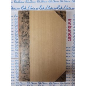 Jacob Wassermann - Saken Maurizius II