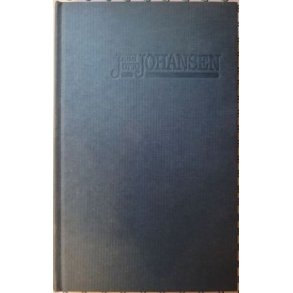 Jahn Otto Johansen - Inn i Amerika