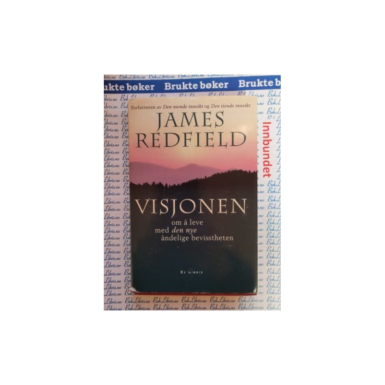 James Redfield - Visjonen