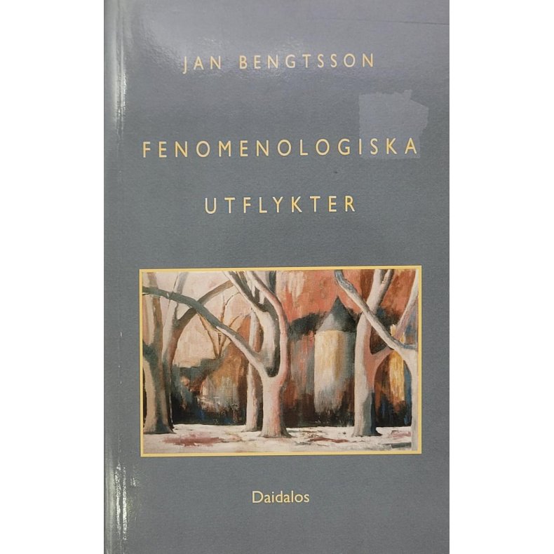 Jan Bengtsson - Fenomenologiska utflykter