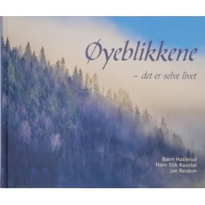 Jan Reidem - yeblikkene - det er selve livet (I)