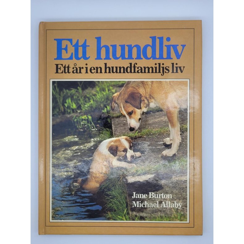 Jane Burton og Michael Allaby - Ett hundliv: Ett r i en hundfamiljs liv