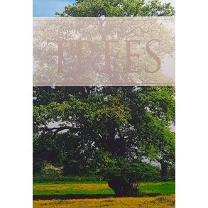 Jenny Linford - A concise guide to trees 