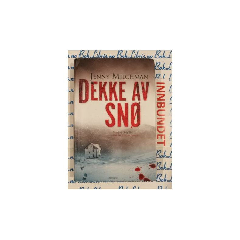 Jenny Milchman - Dekke av sn (I)