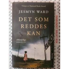 Jesmyn Ward - Det som reddes kan