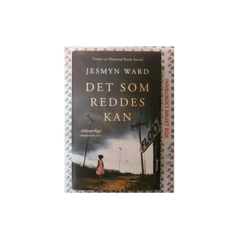 Jesmyn Ward - Det som reddes kan